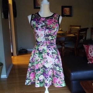 Necessary Objects fit and flare dress